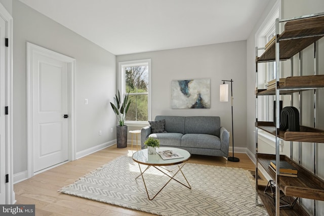 living room featuring wood-type flooring