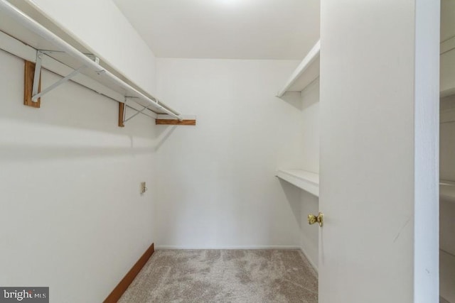 walk in closet with light colored carpet