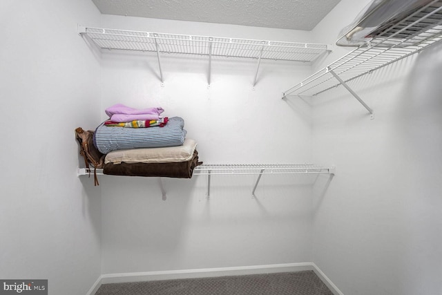 spacious closet with carpet floors