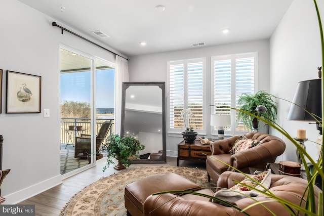 living room with light wood-type flooring and a healthy amount of sunlight