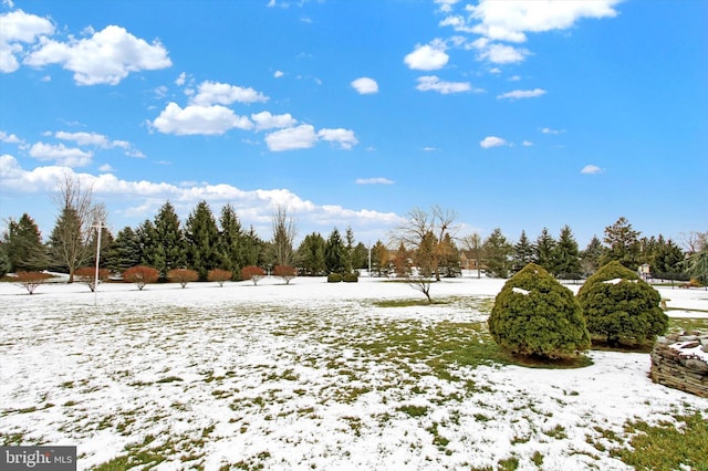 view of yard covered in snow