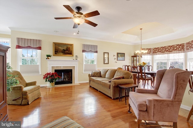 living room featuring a raised ceiling, crown molding, ceiling fan with notable chandelier, and light wood-type flooring