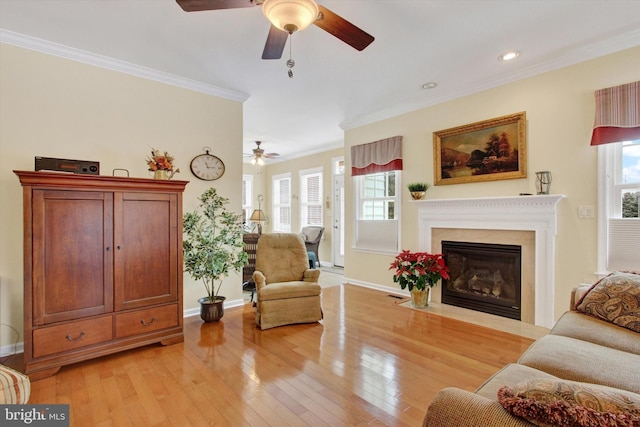 living room with crown molding, light hardwood / wood-style flooring, and ceiling fan