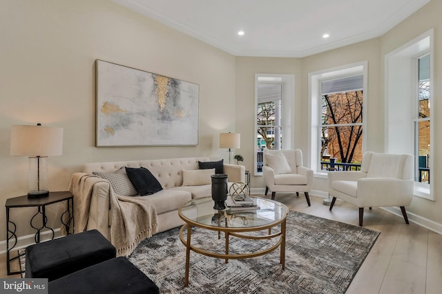 living room with crown molding and light hardwood / wood-style flooring