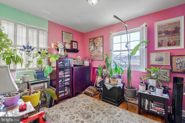 recreation room featuring wood finished floors