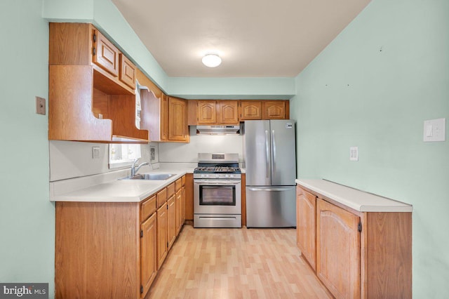 kitchen featuring stainless steel appliances, sink, and light wood-type flooring