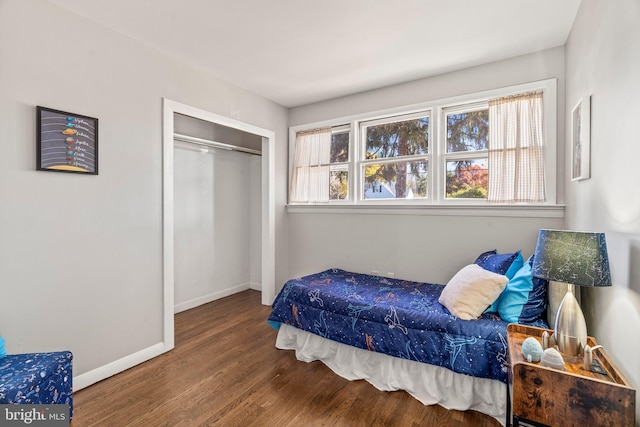 bedroom featuring a closet and hardwood / wood-style flooring