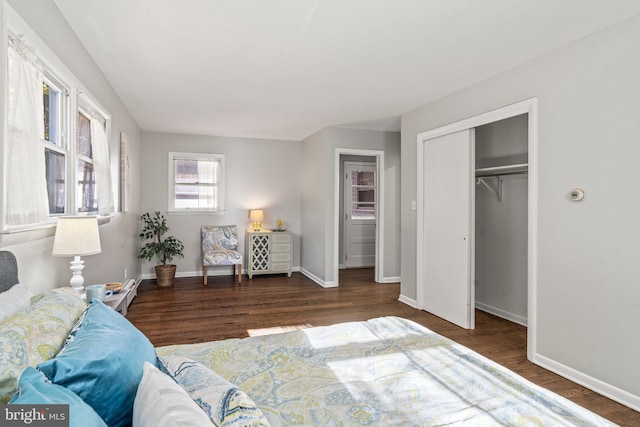 bedroom featuring dark hardwood / wood-style flooring and a closet