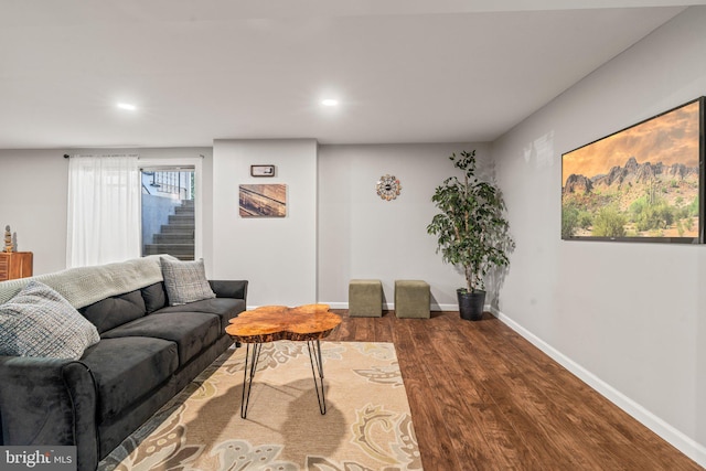 living room featuring hardwood / wood-style flooring