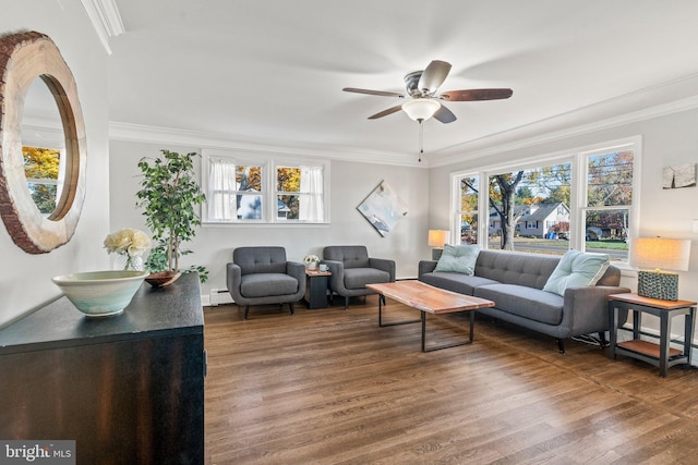 living room with a baseboard heating unit, dark hardwood / wood-style floors, ceiling fan, and crown molding