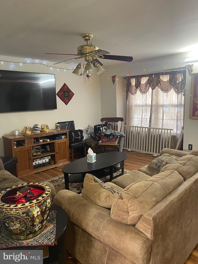 living room with ceiling fan and hardwood / wood-style flooring