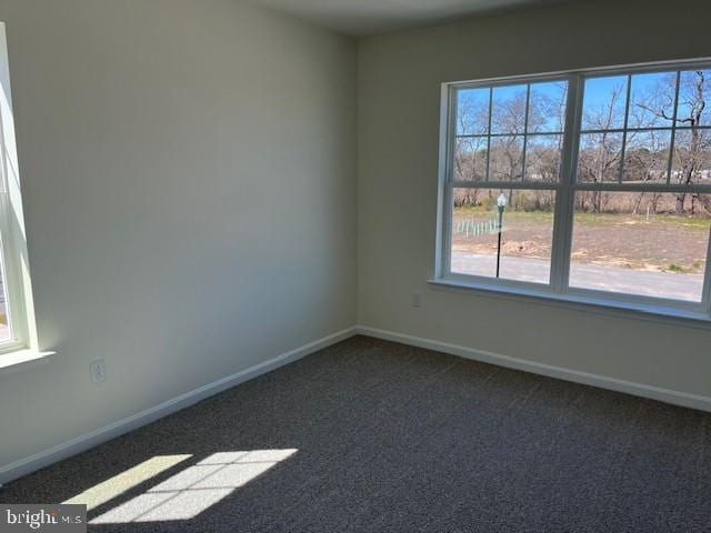 unfurnished room featuring carpet floors, a wealth of natural light, and baseboards