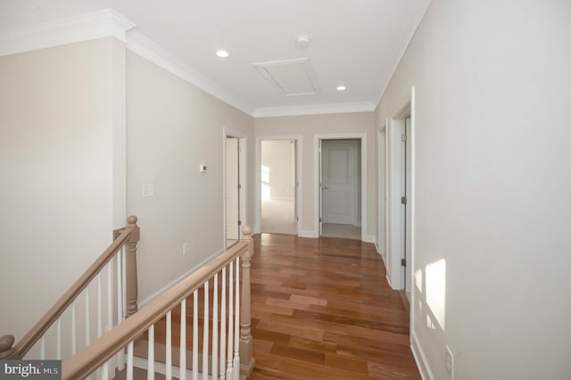 hallway featuring crown molding and hardwood / wood-style flooring