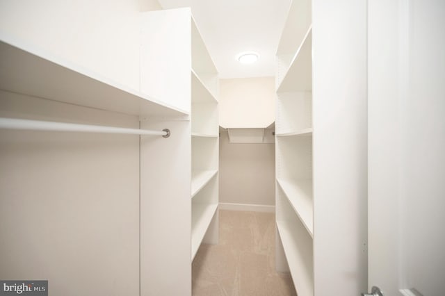 walk in closet featuring light carpet