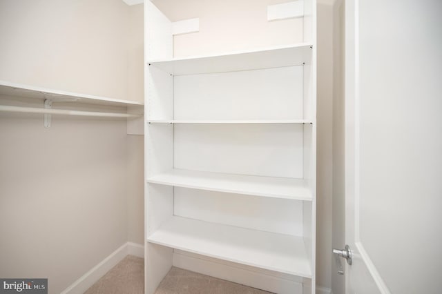 spacious closet with carpet flooring