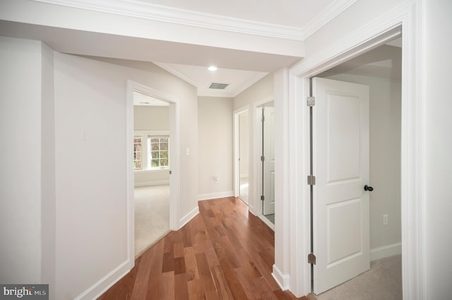 corridor featuring crown molding and wood-type flooring