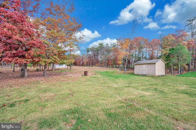 view of yard with a shed