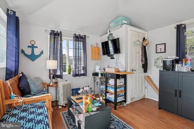 bedroom featuring vaulted ceiling, radiator heating unit, and wood finished floors