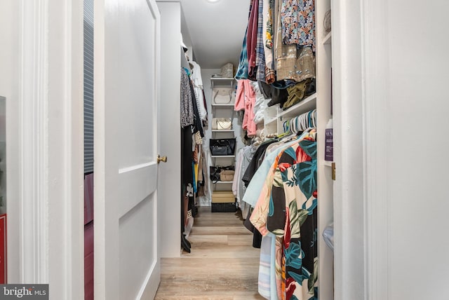 walk in closet with light hardwood / wood-style floors