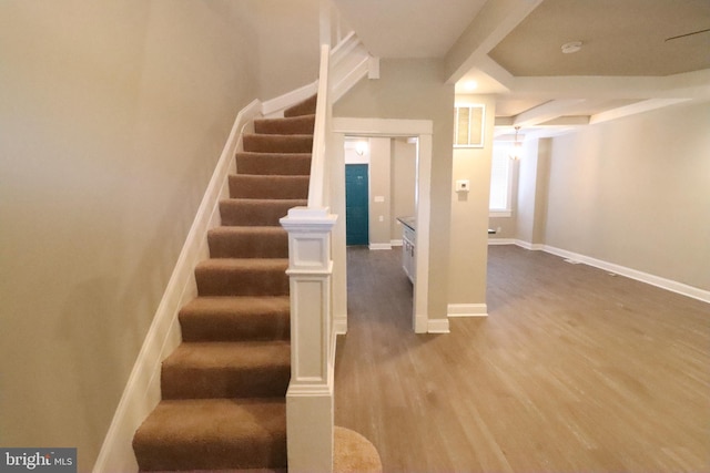 stairway with hardwood / wood-style flooring