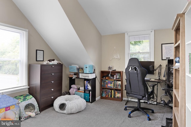 carpeted office with vaulted ceiling