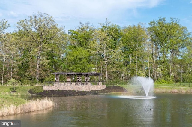 view of water feature