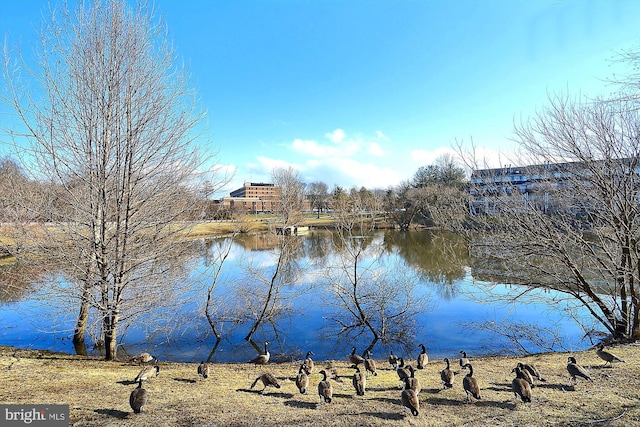 property view of water