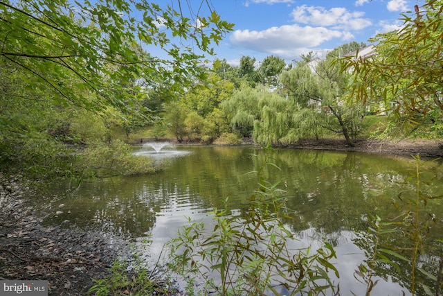 property view of water