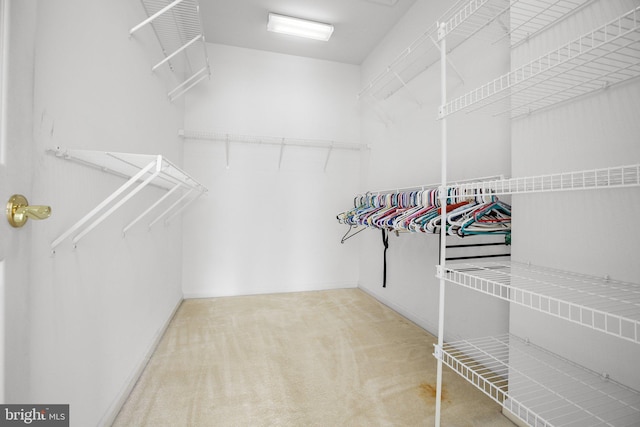 walk in closet featuring carpet