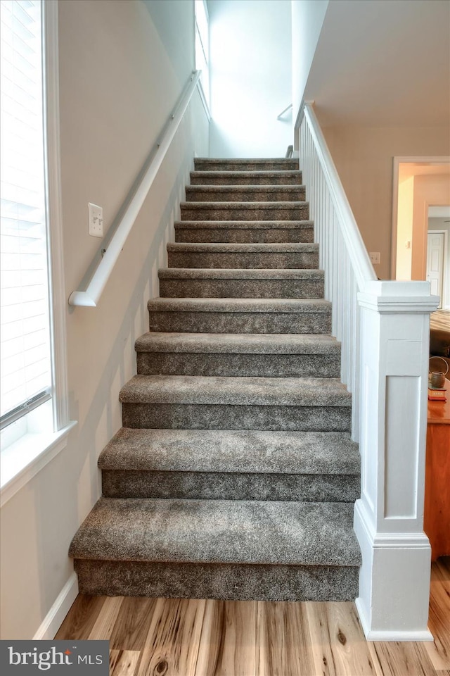 stairway featuring wood-type flooring