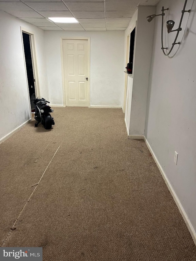 basement with a drop ceiling and carpet