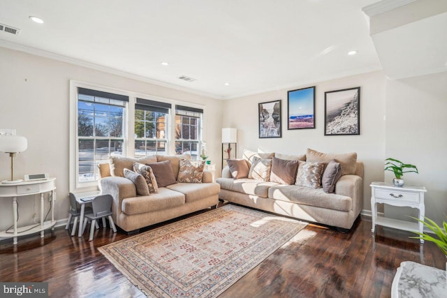 living room featuring ornamental molding and dark wood-type flooring