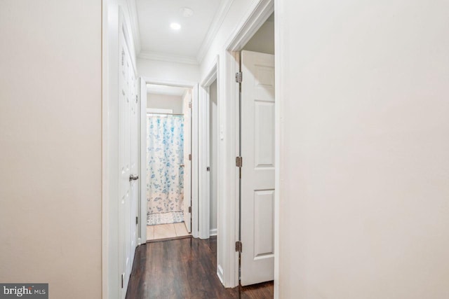 hallway with dark hardwood / wood-style floors and ornamental molding