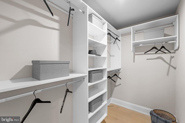 walk in closet featuring light hardwood / wood-style floors