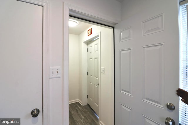 hallway featuring dark hardwood / wood-style floors