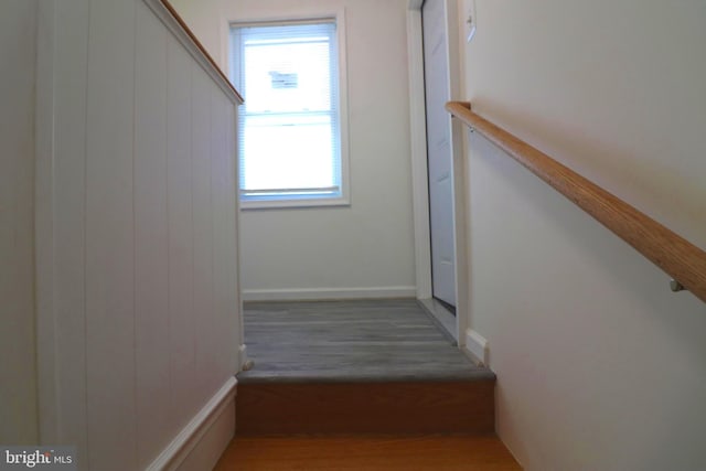 stairway with hardwood / wood-style floors