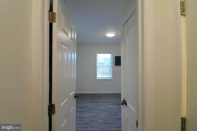 corridor with dark wood-type flooring