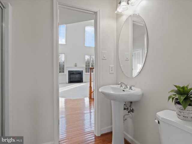 bathroom with sink, hardwood / wood-style flooring, and toilet