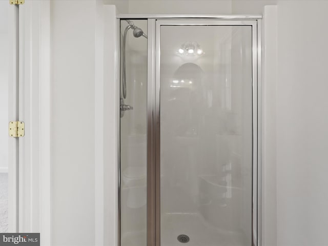 bathroom with a shower with door