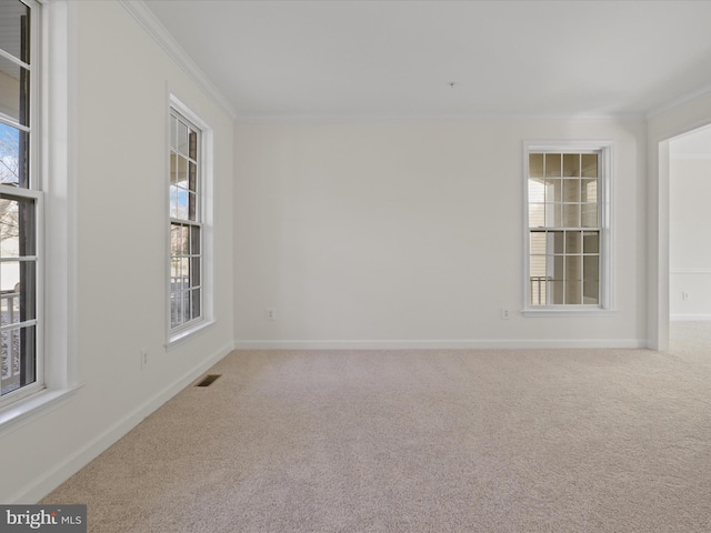 empty room featuring a wealth of natural light, crown molding, and carpet