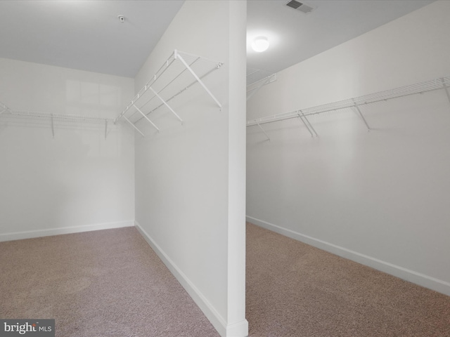 walk in closet featuring carpet floors