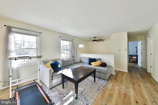 living room with ceiling fan and light hardwood / wood-style flooring