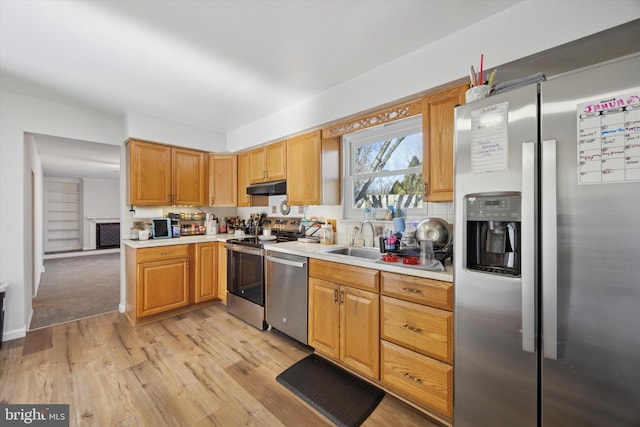 kitchen with sink, light hardwood / wood-style floors, and appliances with stainless steel finishes