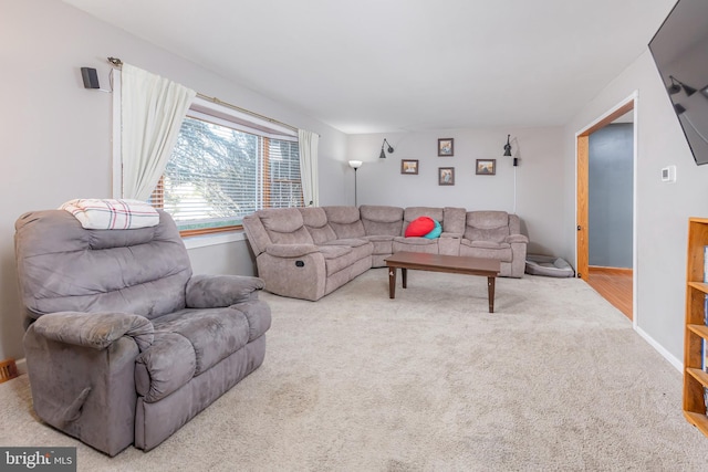 living room featuring carpet