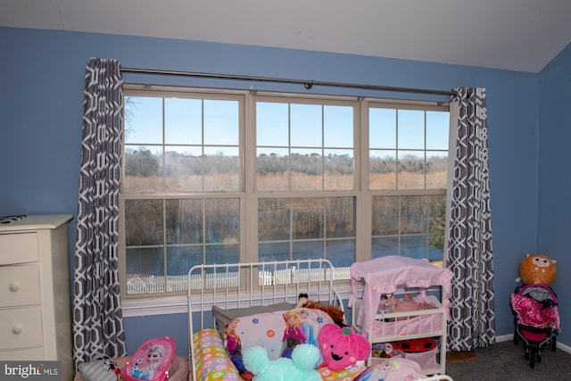 carpeted bedroom with multiple windows