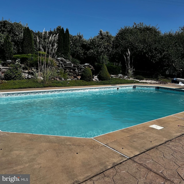 view of swimming pool