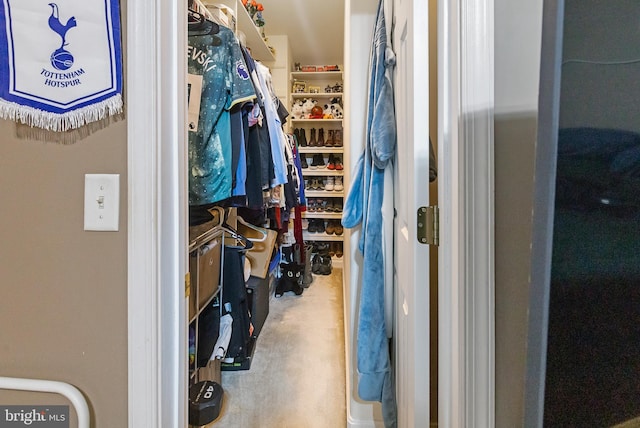 view of spacious closet