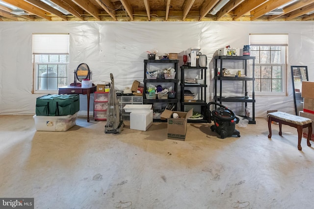 basement featuring a healthy amount of sunlight