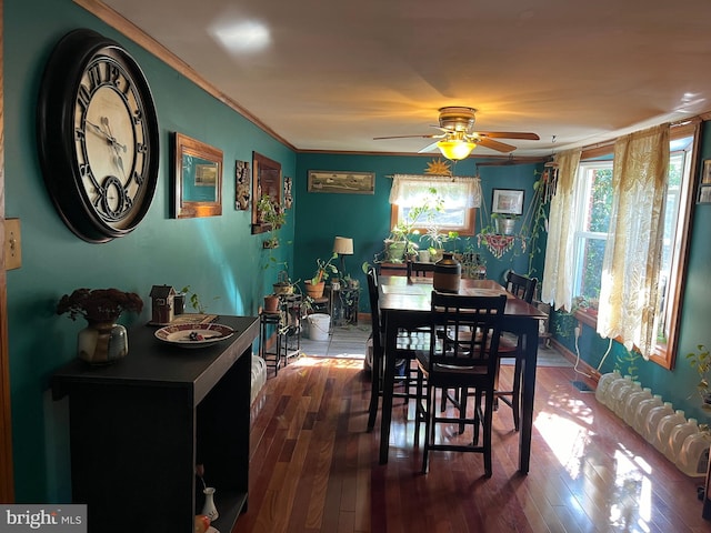 dining area featuring ornamental molding, ceiling fan, and hardwood / wood-style floors