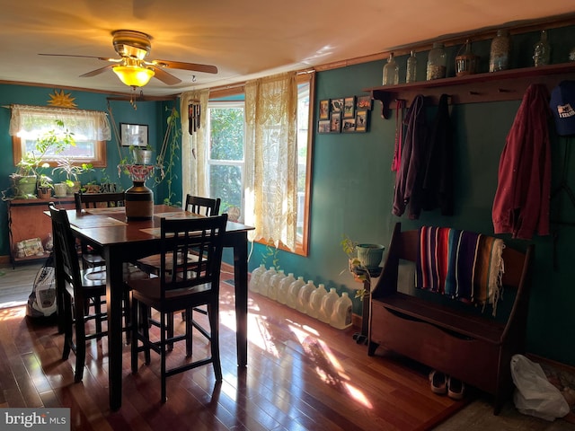 dining space featuring ceiling fan and hardwood / wood-style floors